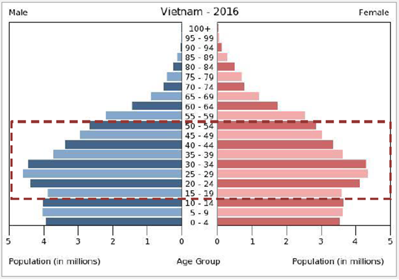 2016年越南人口结构金字塔