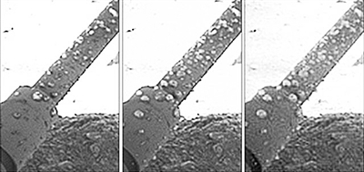 “凤凰”号着陆器腿上凝结的液滴。从左到右依序为“凤凰”号登陆后第4、31、44天拍摄