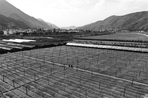 北京办照,志达注册公司,朝阳办照,农村土地承包