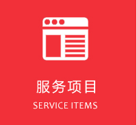 服务项目